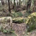 Dolmen de kelvezin 2