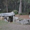 Dsc 0019 01