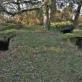 Dsc 0047 7 dolmens de mane kervilor la trinite sur mer janvier 2010 01