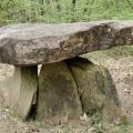 Dsc 0247 dolmen du puy de pauliac correze