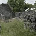 Dsc0276 01 01