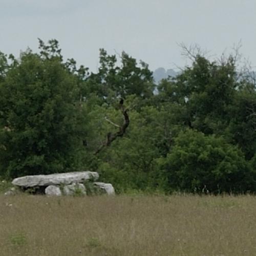 Dsc0579 dolmen de la rougie a livernon 03 06 2018 copie